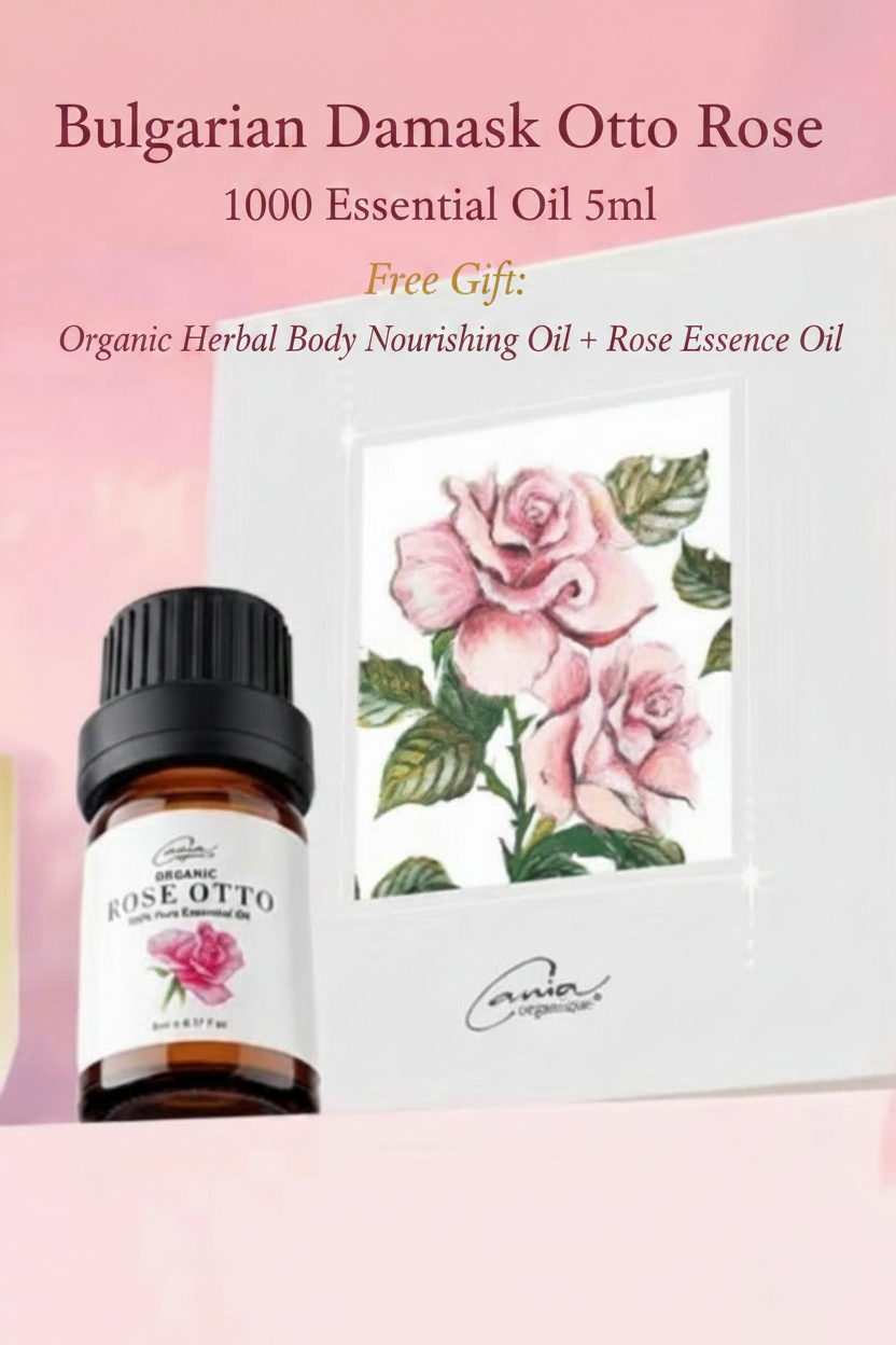 Bulgarian Damask Otto Rose 100% Essential Oil 5ml
Free gift: Organic Herbal Body Nourishing Oil + Rose Essence Oil