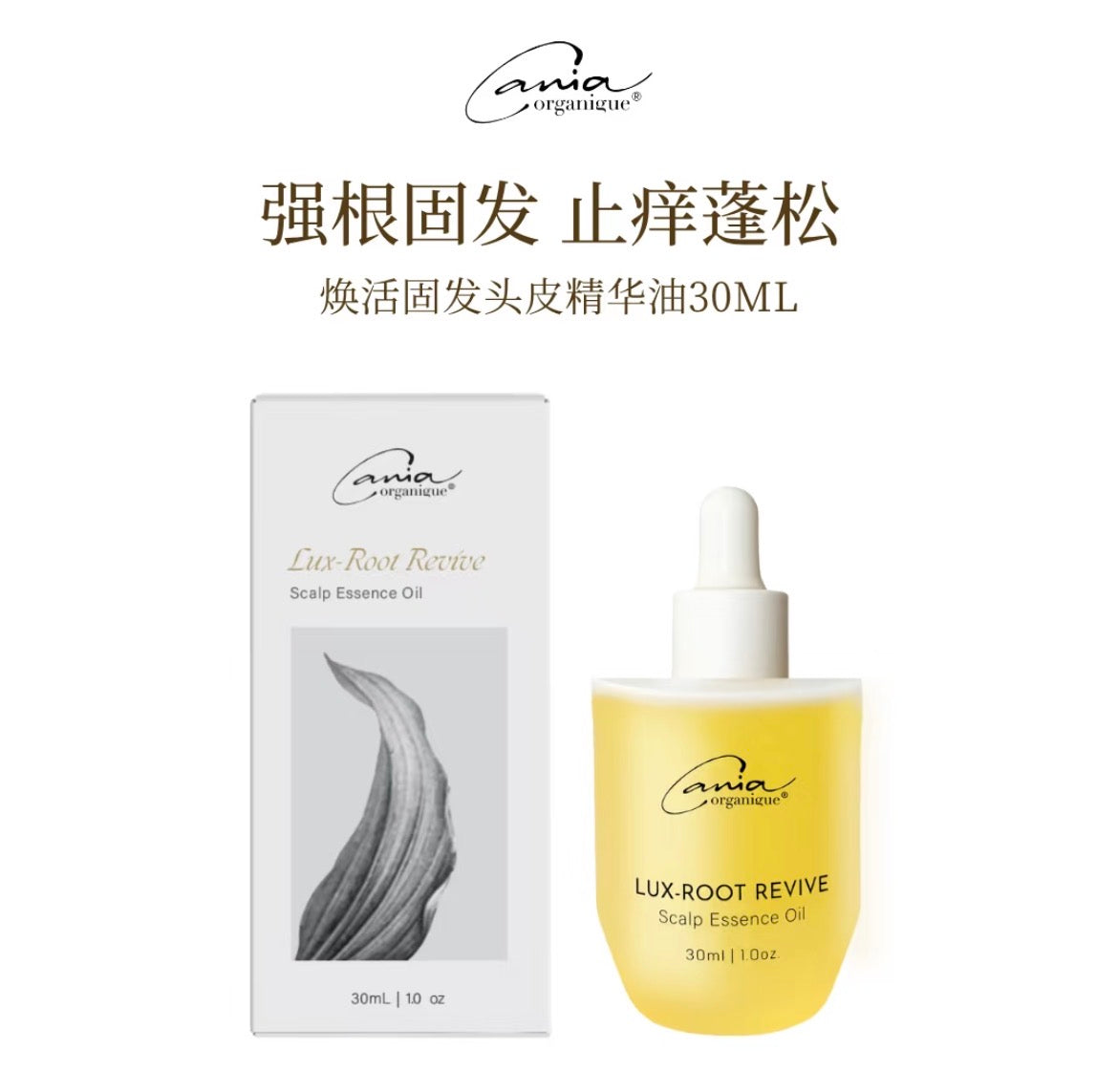 Cania Organique . Hair Volume Gift Set | Moroccan Oil + Scalp Serum + Free Ginger Shampoo Bar